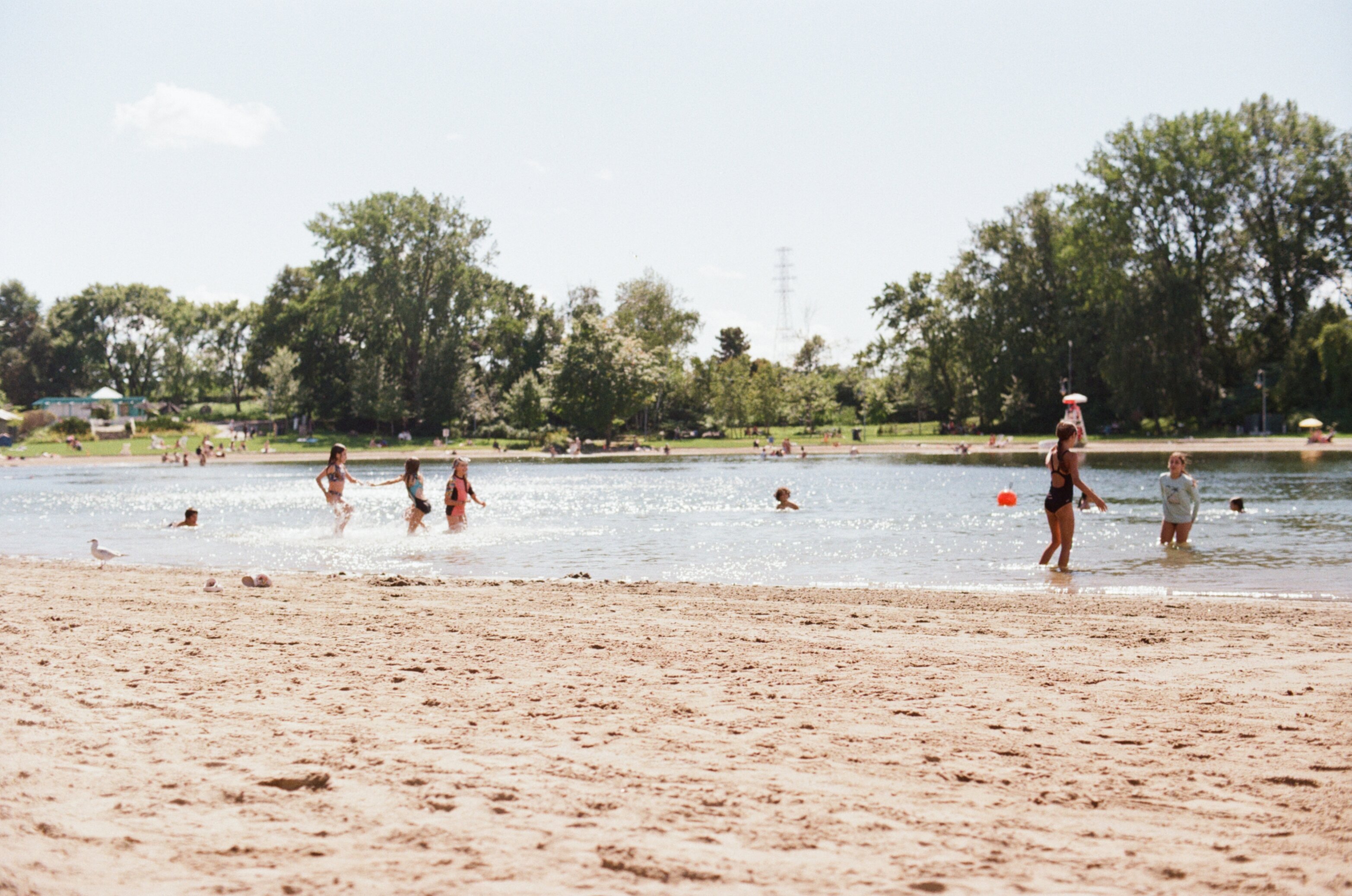 Kids play in the water at the beach