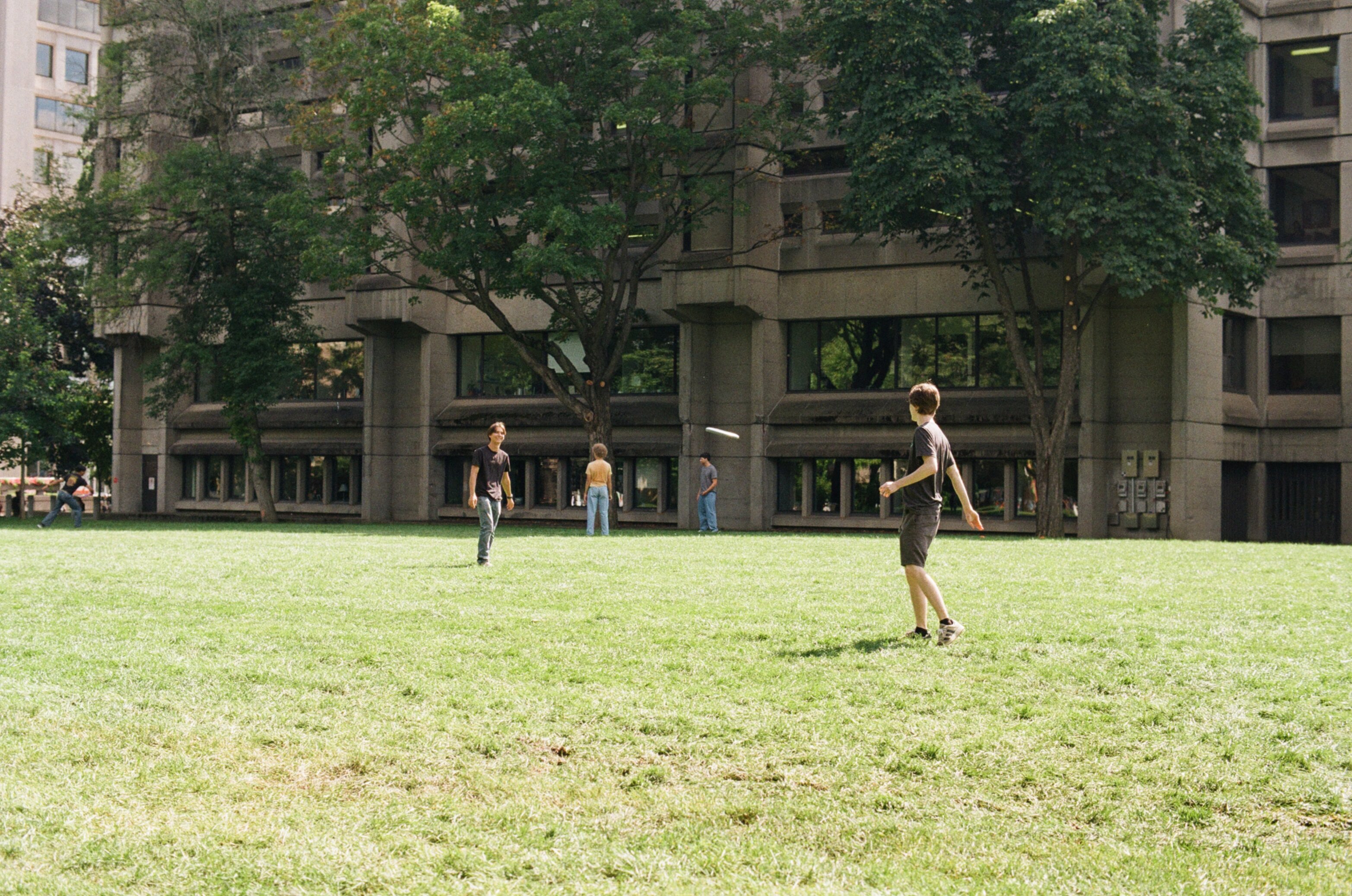 Two men on a grass field in the sun throwing a disk to each other