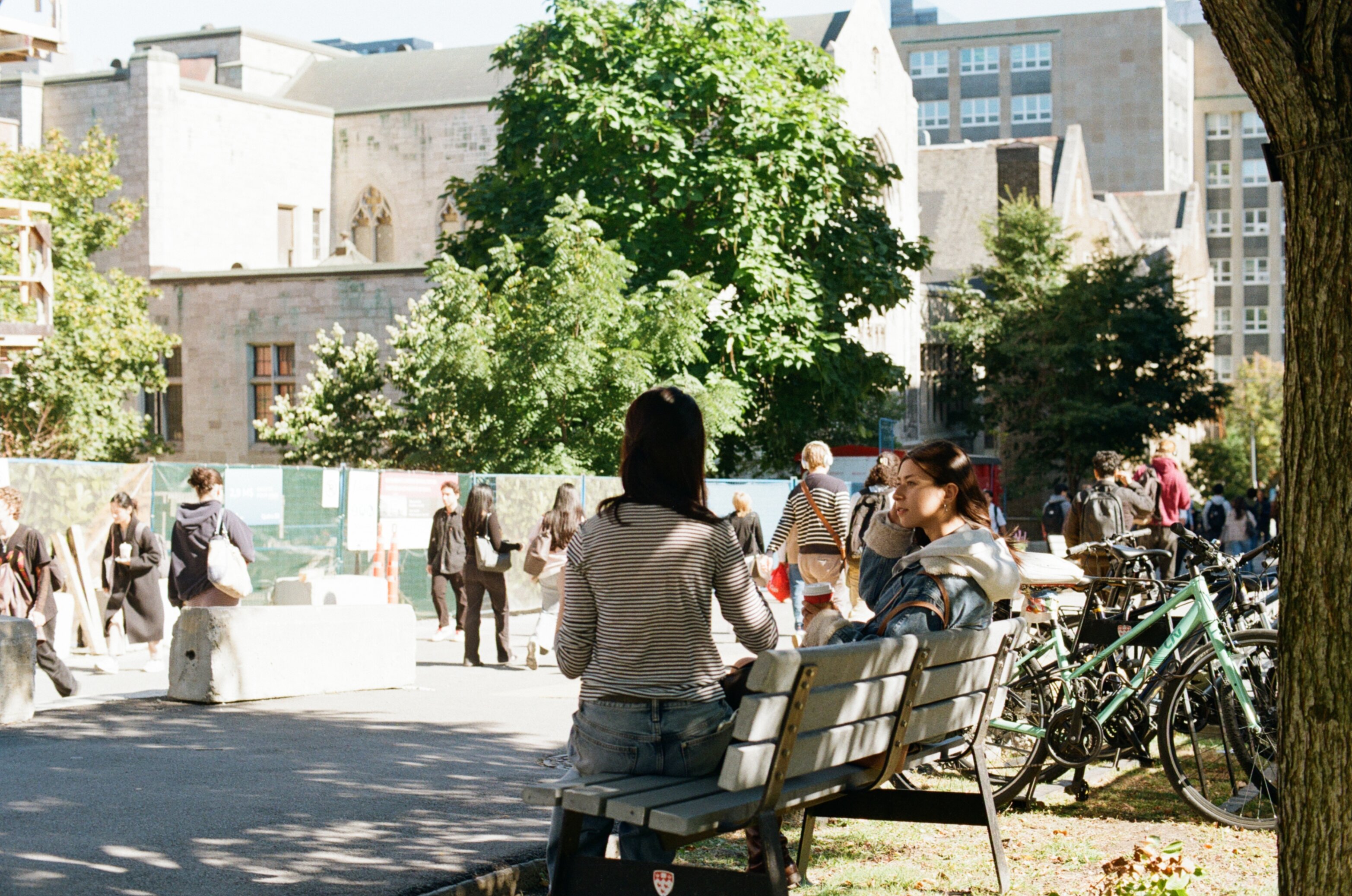 Two female students sitting on a bench on campus