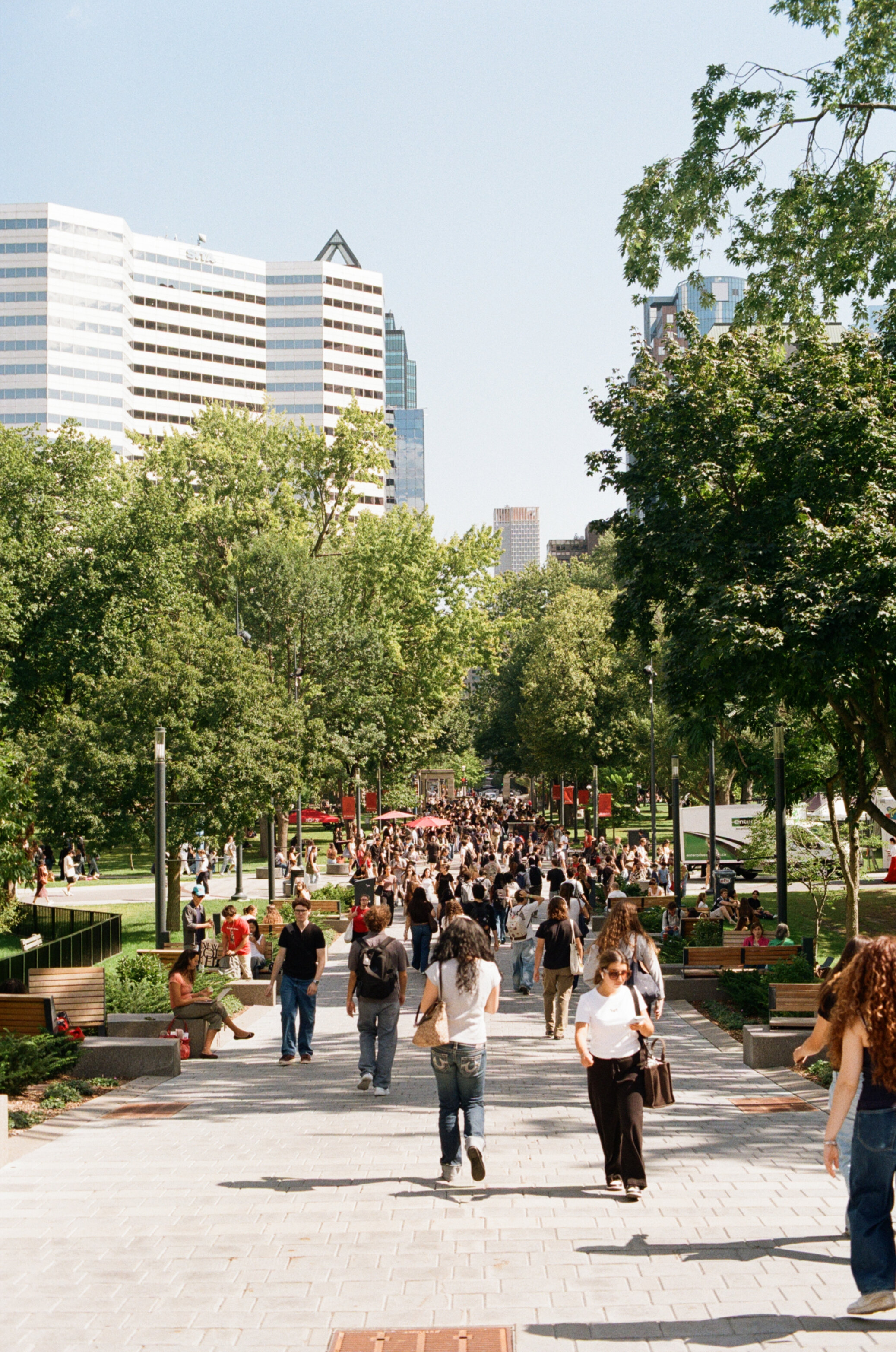 Students walking along a path between lines of trees with stone gates tall buildings in the background