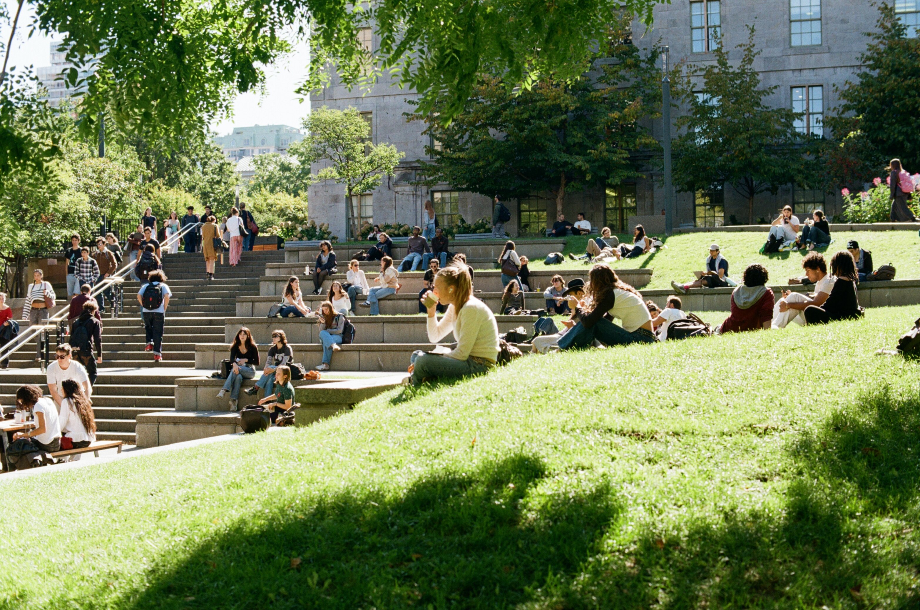 Many students sit on steps in a grass field
